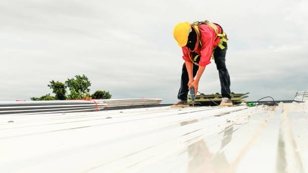 Best Roof Moss and Algae Removal  in Harrisburg, PA